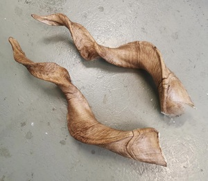 Paires de cornes de chèvre naturelles, finition rustique, écologiques, neuves, de haute qualité pour la décoration et l'artisanat - Product Image 3