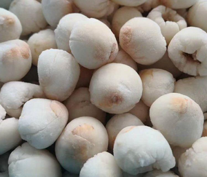 Exportateur de litchi congelé/litchi IQF du Vietnam/Mme Selina - Product Image 6