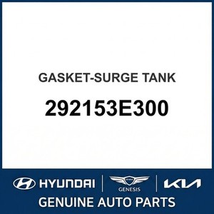 แคร์เรนส์ ปะเก็นและซีลใหม่ รุ่น 292153E300 - Product Image 1