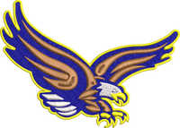 Écussons brodés personnalisés à coudre et à repasser – Badge brodé personnalisé de la Division Athlétique des États-Unis