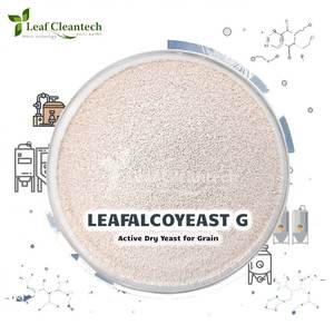 Active Dry <b>Yeast</b> for Grain Fermentation-<b>Brewing</b>-Baking Applications From India | Fermentation Enzymes | - Product Image 1