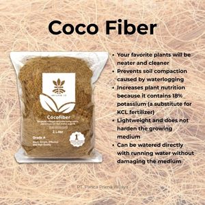 Fibra de Coco 100% Natural de Alta Calidad, 2L, Sustrato Orgánico para Cultivo con 24 Meses de Vida Útil, para Cultivo Hidropónico y de Frutas - Product Image 4
