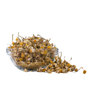 Precio Más Bajo, Capullos de Manzanilla Romana Cruda, Flores Secas Enteras, Caja de Marca Privada de 300g, Origen Directo Vietnam, Venta al Por Mayor - Product Image 6