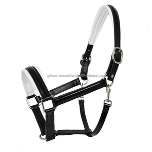 Cabestro de caballo de cuero genuino ecuestre de tendencia superior con acolchado ultra suave costura duradera tamaños personalizados - Product Image 1