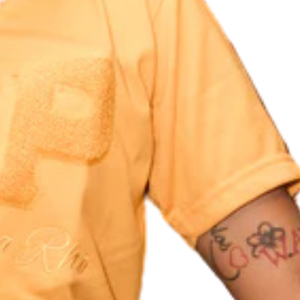 T-shirt en coton Sigma Gamma Rho, écologique, respirant, pour femme, avec lettres grecques brodées, haut décontracté à col rond de qualité supérieure - Product Image 3