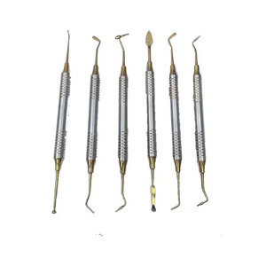Kit de Instrumentos Dentales para Rellenos de Composite con Mango Dorado, Juego de 6 Instrumentos Profesionales de Restauración Dental - Product Image 2