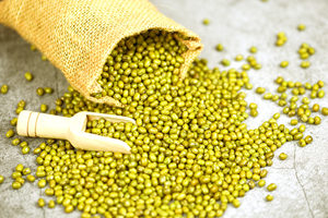 Prix d'usine, qualité supérieure, fournisseur en gros de haricots mungo, haricots mungo verts naturels et nettoyés pour la transformation alimentaire et l'exportation - Product Image 5