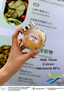 Extrait de Chardon-Marie Pur en Poudre (Qualité Alimentaire) Silymarine 40% 80% (Extrait Standardisé) – Approvisionnement Direct Usine HGO - Product Image 2