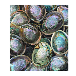 Wholesale Eco-Friendly Large Natural <b>Abalone</b> Seashells Angel Bowl 4-4.5 Inches VIETCHOICE Wedding Gift Directly Vietnam Phoebe - Product Image 4