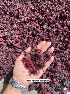 Premium Dried Roselle Flowers Vietnam Natural Hibiscus Sabdariffa Herbal Tea Export Supplier - Product Image 5