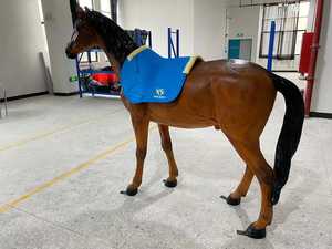 Horse Saddle Pad <b>Equestrian</b> Horse Riding Pad High Quality or Horse wholesale custom saddle pads - Product Image 2