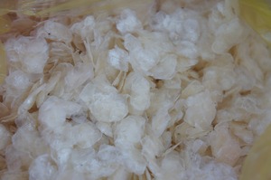 Escamas de pescado secas cuidadosamente limpiadas y secas para aplicaciones industriales de gelatina de colágeno Material de exportación Origen de Vietnam - Product Image 6