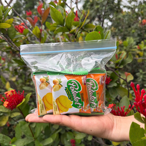 Eco-Friendly <b>Zip</b> <b>Bags</b>, Reusable And Lightweight, Perfect For Organizing, Storing Food, And Protecting Products From Moisture. - Product Image 2