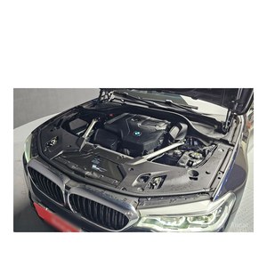 BMW Serie 5 520i M Sport 2020, Volante a la Izquierda, Caja de Cambios Automática, Asientos de Cuero, Emisión Euro V, Cámara Trasera - 86,584 km - Product Image 6