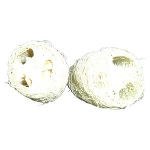Flor de Luffa seca de alta calidad, Material de planta Natural ecológico para exfoliante de graduación y decoración, esponja de lufa de flores secas - Product Image 3