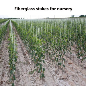 Fiberglass plant <b>support</b> pole for <b>Tomato</b>,Flowers,Garden - Product Image 3