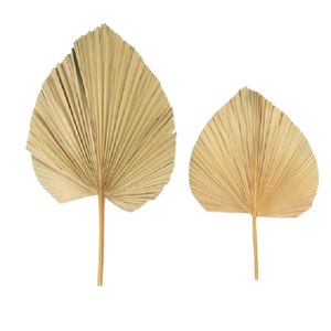 ADVAITH AVP 006 Feuilles de palmier découpées au laser pour la décoration de la maison et les mariages, disponibles en différentes tailles pour les fêtes, Halloween, Pâques, la Saint-Valentin - Product Image 6