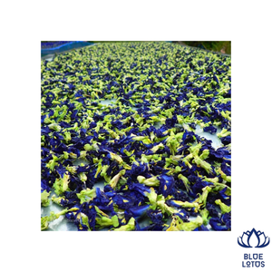 AVAILABLE Eco-Friendly Dried Butterfly Pea Flower Pure Herbal <b>Tea</b> Beverage Food Cosmetic Grade - Product Image 1