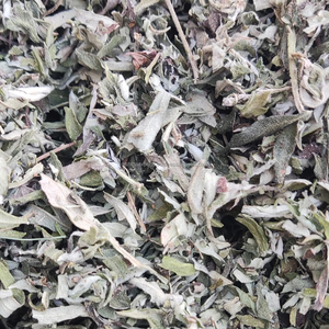 Artemisia Vulgaris Artemisa Hojas secas Magwort Hoja Nagadouna Ajenjo Secado Ajenjo salvaje Hierbas crudas Venta al por mayor Producto a base de hierbas - Product Image 1