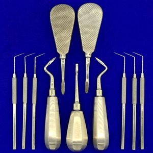 Set de Elevadores Dentales y Sondas Merritt de Jamso Industries, Elevadores Bein Flohr London Hospital con 6 Sondas de un Solo Extremo de Acero Inoxidable - Product Image 1