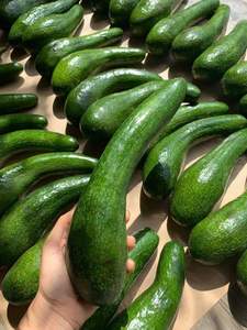 Avocat Congelé Demi-noyaux de fruits tropicaux IQF, 25kg, pour Smoothies, Desserts et Transformation Alimentaire - Product Image 5