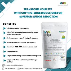 Cultivo Biológico para el Tratamiento de Aguas Residuales en Plantas de Tratamiento de Aguas Residuales Comunitarias - Product Image 2