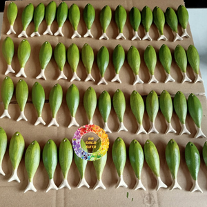งานฝีมือไม้แกะสลักรูปปลา งานศิลปะพื้นบ้านแบบแขวนผนัง เหมาะสำหรับเด็ก ตกแต่งรูปสัตว์ เป็นของขวัญปีใหม่-CARYLN - Product Image 2