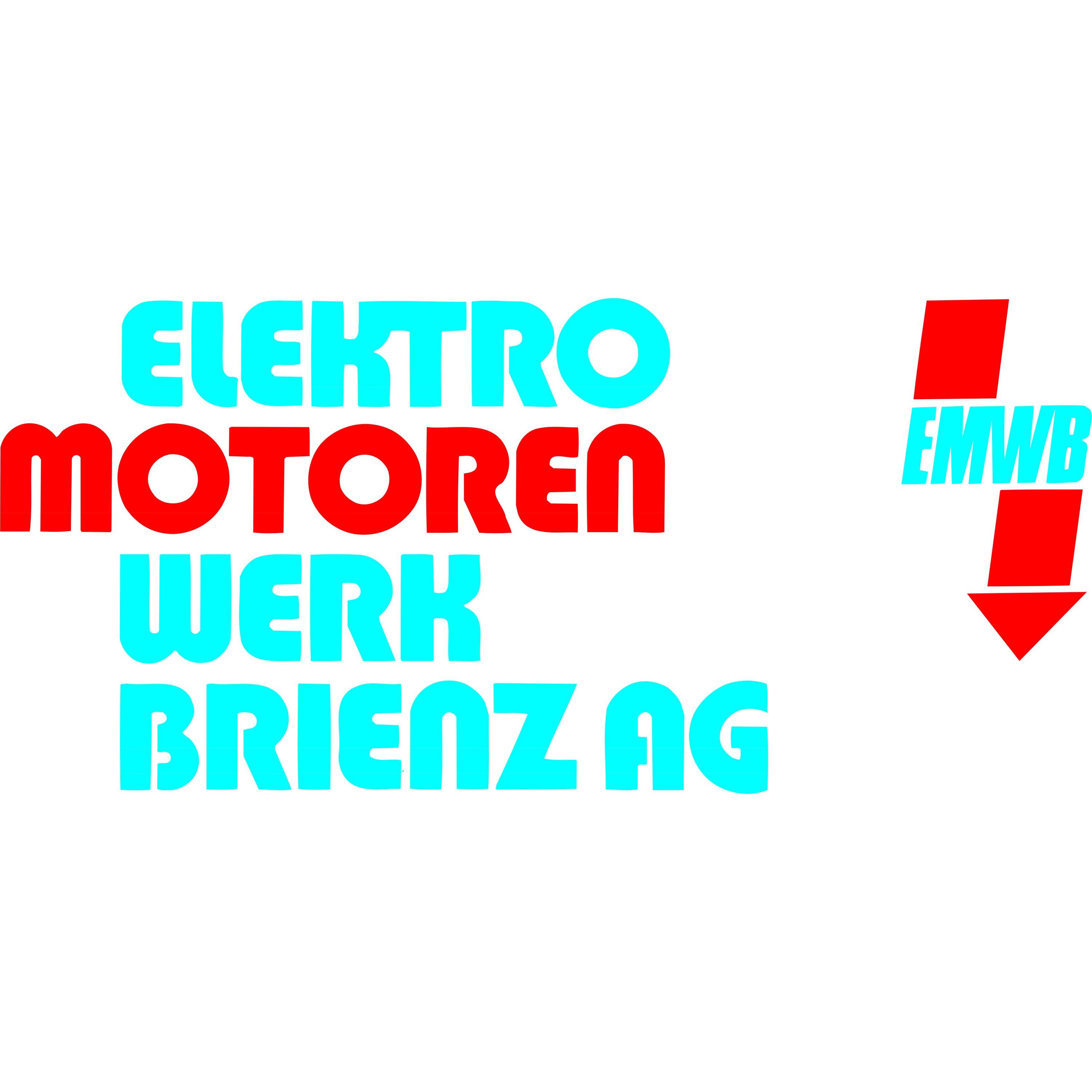 Elektromotorenwerk Brienz AG EMWB logo