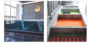 Tappetino Filtrante per Carpe Koi Tipo Spirale Giapponese, Materiale Filtrante Biologico Naturale per Laghetti, Anti-Intasamento Durevole Facile da Pulire - Product Image 3