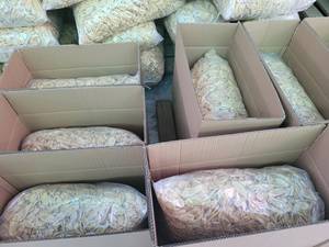 กล้วยอบแห้งแบบแช่แข็ง 100% จากธรรมชาติ บรรจุภัณฑ์แบบขายส่ง ไม่มีน้ำตาล รสหวาน เนื้อสัมผัสกึ่งนุ่ม บริการ OEM ราคาถูก - Product Image 4