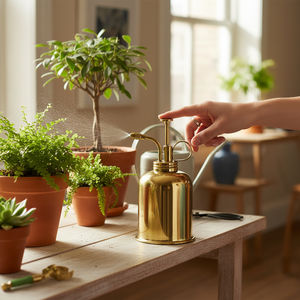 Rociador de Plantas de Acero Inoxidable con Elegante Bomba Dorada, Pulverizador de Niebla Fina para Jardín Interior, Decoración del Hogar, Duradero y Resistente a la Oxidación - Product Image 5