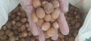 ลูกจันทน์เทศแห้งซีลอนแบบไม่มีเปลือก - Product Image 3