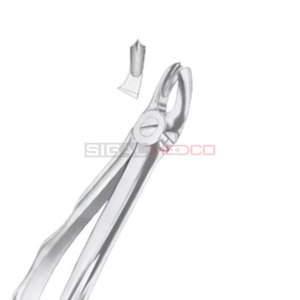 Fig. Forceps d'extraction dentaire manuels en acier inoxydable allemand pour 17 molaires supérieures droites de différentes tailles, certifiés CE - Product Image 2