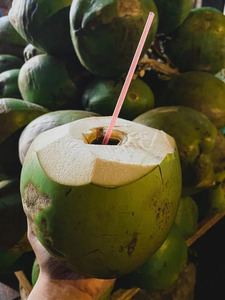 Coco Fresco Joven de Primera Calidad, Listo para Enviar - Product Image 6
