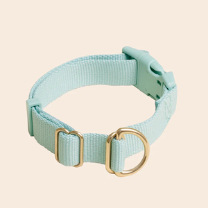 Collier pour chien en nylon réglable de qualité supérieure avec anneau en D doré, boucle de couleur personnalisée, collier pour animal de compagnie minimaliste de créateur, vente en gros - Product Image 3