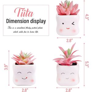 Lindas Suculentas Artificiales Pequeñas en Maceta de Cerámica Rosa, Arreglo para Decoración del Hogar u Oficina, Mini Plantas Falsas - Product Image 5