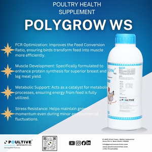 Líquido Multivitamínico para Aves de Corral |   Multivitaminas + Multiminerales + Aminoácidos + Ácidos Orgánicos + Electrolitos + Probióticos - Product Image 2