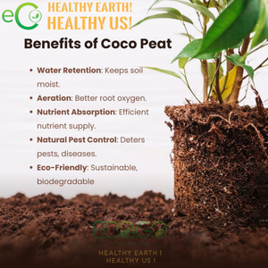 Bloc de tourbe de coco biologique premium 5 kg, tourbe de coco lavée pour le jardinage - Product Image 6