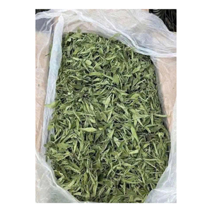 Hojas de Stevia Secas, Hoja Entera Cruda, Hierba Natural, Especias y Hierbas Individuales, Ingrediente de Té de Stevia Rebaudiana Verde, Vietnam - Product Image 4