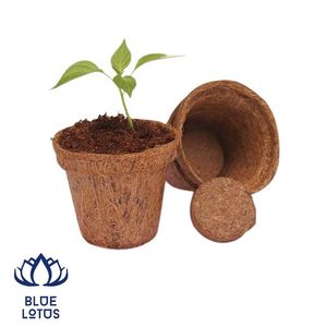 Maceta de Fibra de Coco Biodegradable Ecológica de Alta Calidad, Más Vendida, con Orificio de Drenaje para Germinación de Semillas - Product Image 1