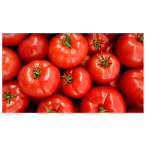 Fournisseur en gros de tous types de tomates fraîches - Produit de haute qualité - Product Image 4