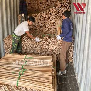 Manche de balai en bois d'eucalyptus naturel de haute qualité avec tête de balai en plastique économique pour le nettoyage à domicile et l'utilisation de la pelle à poussière - Product Image 6