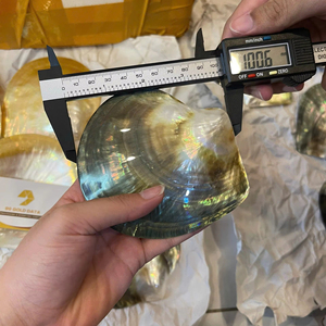 Pearl Of Mother Shell Vietnam Material For Fashion Accessories Inlay Handicraft Decorative Plate Supply Yellow Black Yellow - Product Image 4