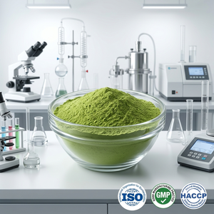ผงขนุนพรีเมียม ผงผลไม้เขตร้อนธรรมชาติสำหรับเครื่องดื่ม สมูทตี้ การอบ และการใช้ในอาหาร - Product Image 4