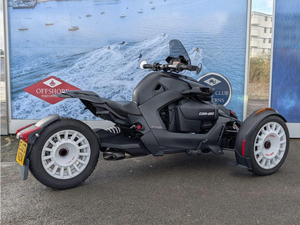 Nuevo Ry-ke-rrs Rally Rotax 900 ACE de Alta Demanda - Product Image 2