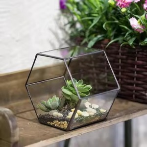 Terrarium en métal de luxe avec pot en verre, décoration d'intérieur, boîte à plantes, pièce d'appoint pour la maison - Product Image 4
