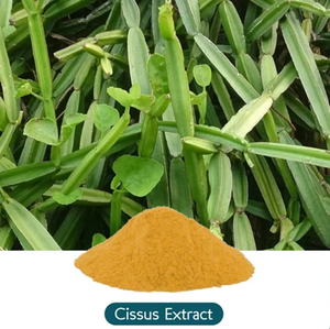 Extracto de Cissus Quadrangularis 100% Puro y Natural 20:1 Premium - Product Image 4