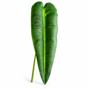 Planta Artificial Petefloral, Hoja Tropical Gigante, Impermeable, de Plástico, Forma de Corazón Verde Grande, para Decoración del Hogar Durante Todo el Año - Product Image 1