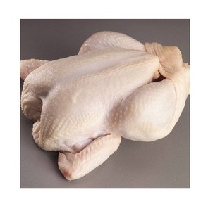 Pollo entero halal congelado y partes de pollo - Product Image 1