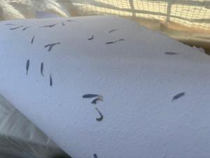 กระดาษทำมือจากกลีบดอกคอร์นฟลาวเวอร์  กระดาษออร์แกนิกที่ยั่งยืน  วัสดุเครื่องเขียนจากพืช  เป็นมิตรกับสิ่งแวดล้อม  ปราศจากไม้  กระดาษรีไซเคิลสำหรับงานศิลปะและงานฝีมือ - Product Image 5